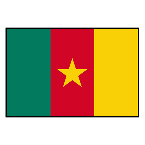 Cameroon football team player