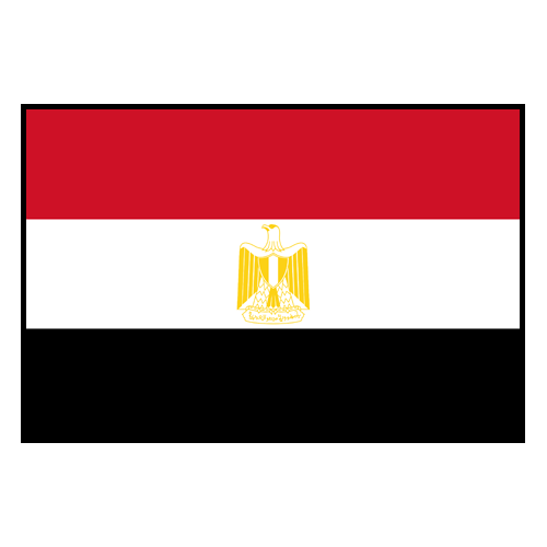 Egypt football team player