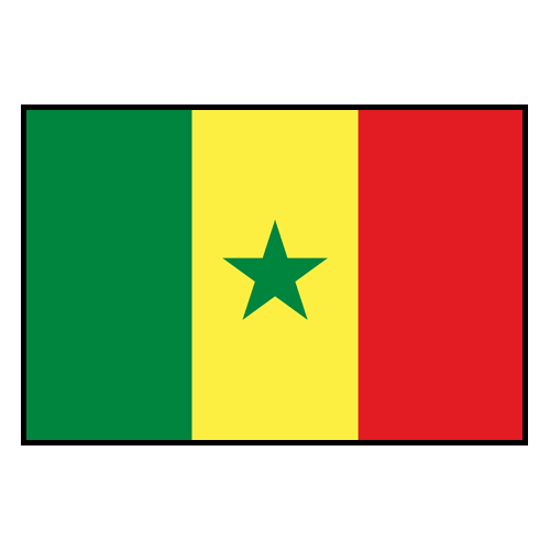 Senegal football team player